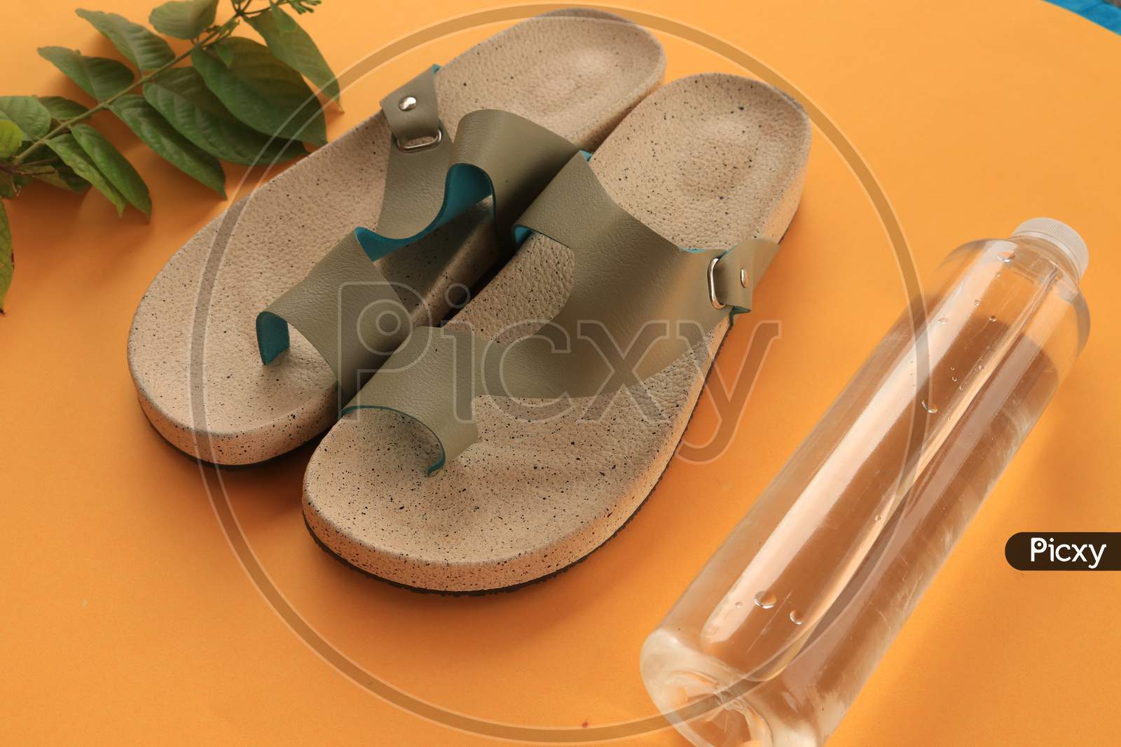 Slippers or Sandals with Water Bottle and Green Leaves on Orange Background