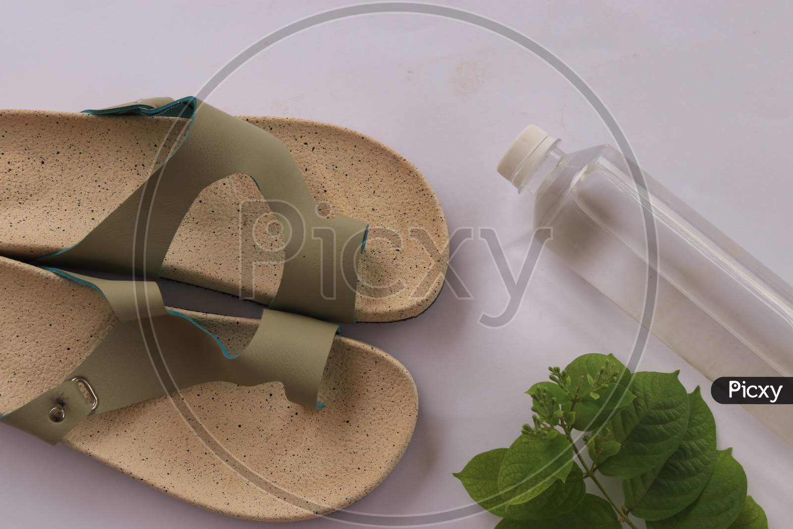 Slippers or Sandals with Water Bottle and Green Leaves on White Background