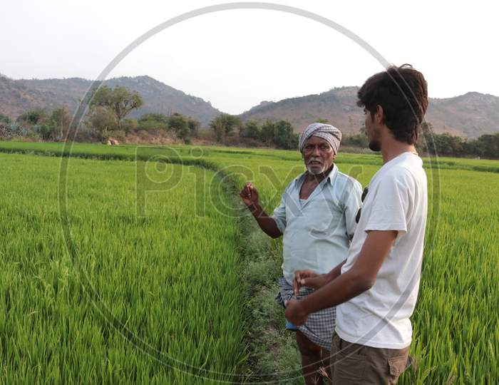 A Young Indian Man talking to a Farmer in Agriculture Fields