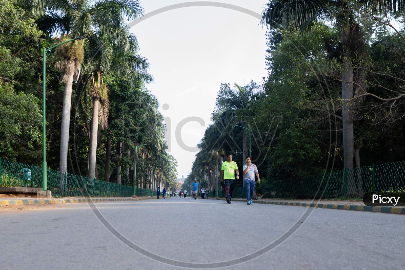Cubbon Park,Bangalore,India-30Th November 2019 - People Going Morning Walk At Cubbon Park In The Morning