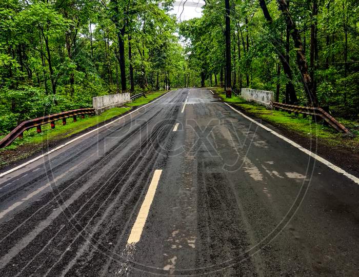 Photo Of Empty Road In The Forest.