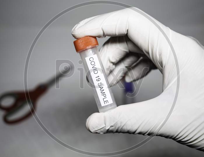 Microbiologist With A Tube Of Biological Sample Contaminated By Coronavirus With Label Covid-19 / Doctor In The Laboratory With A Biological Tube For Analysis And Sampling Of Covid-19 Infectious Diseas