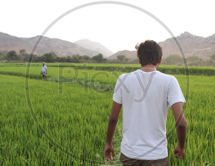 A Young Indian Man and Farmer walking in Agriculture Fields