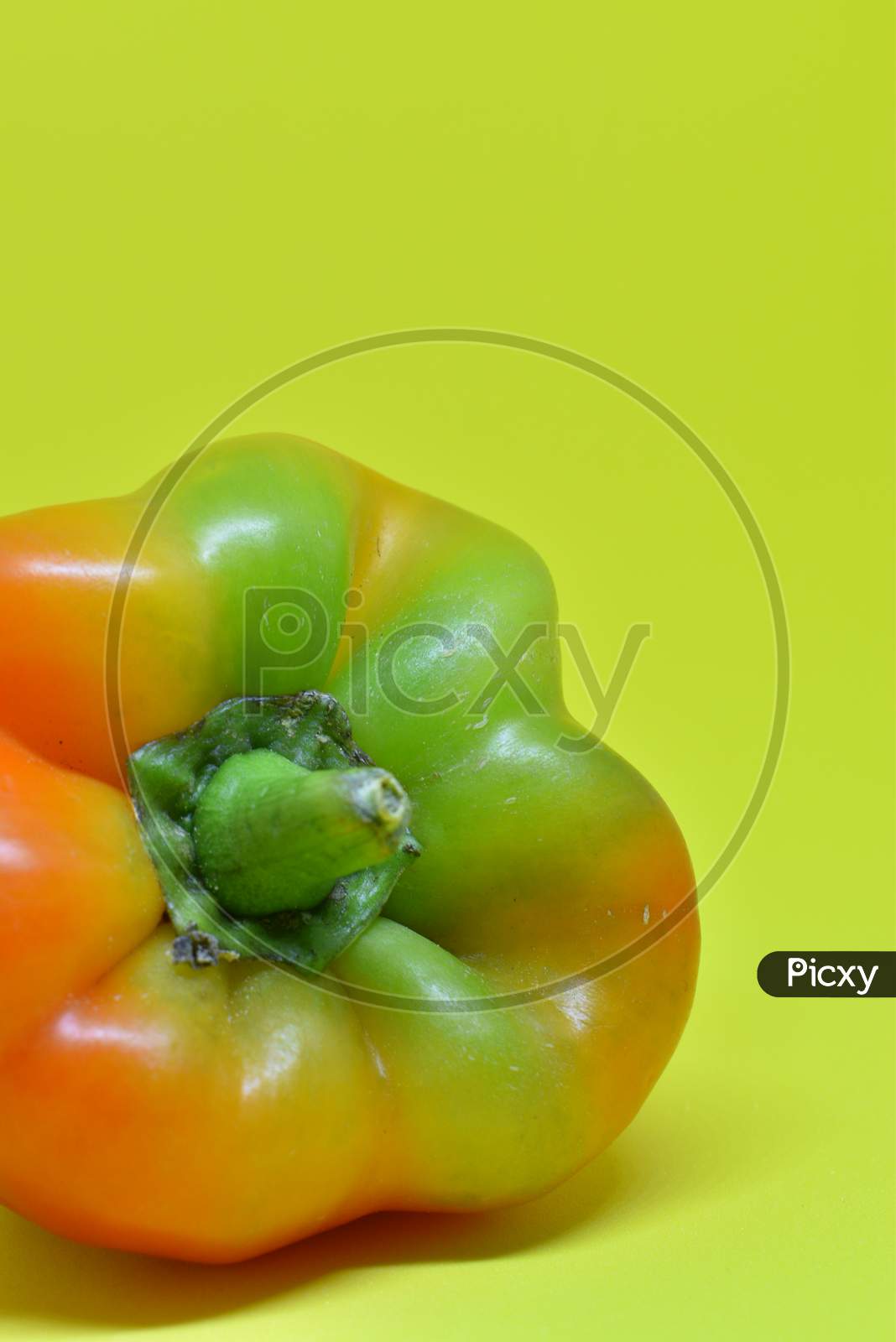 Green Yellow Paprika Or Capsicum In Yellow Isolated Background.