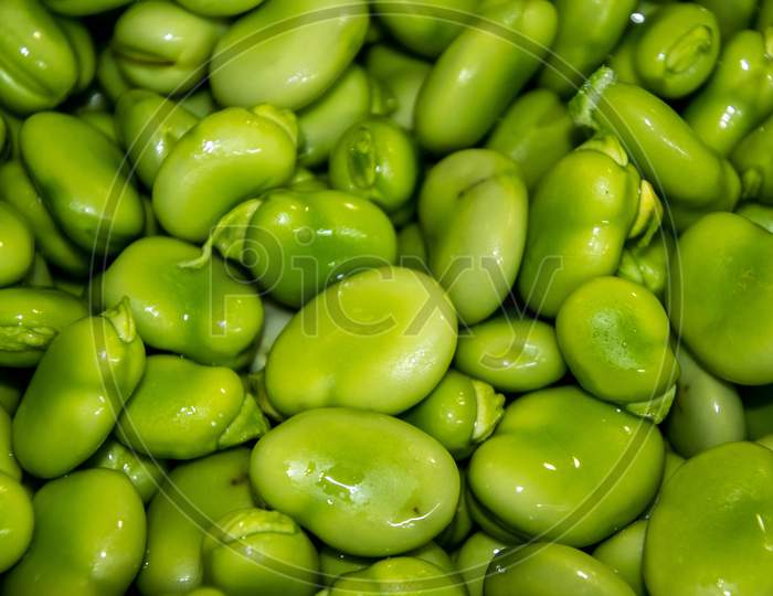Fresh Broad Beans