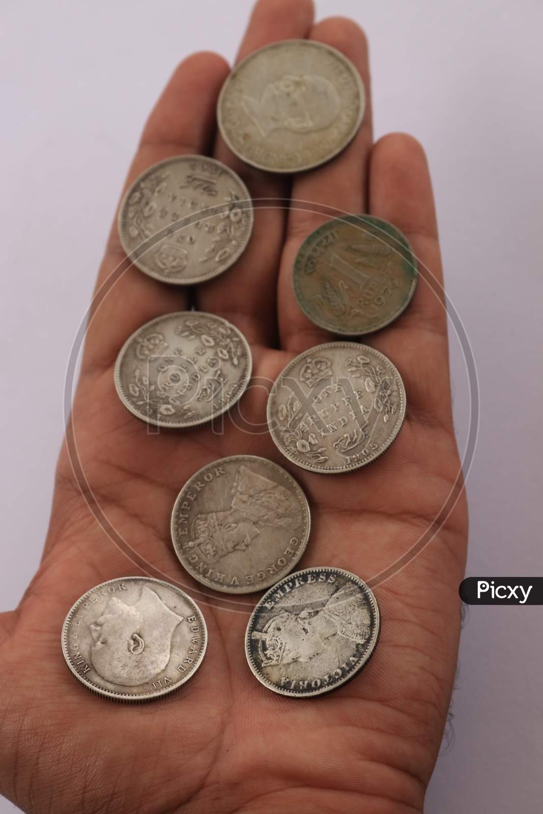 Indian Currency Coins in Plam isolated with White Background