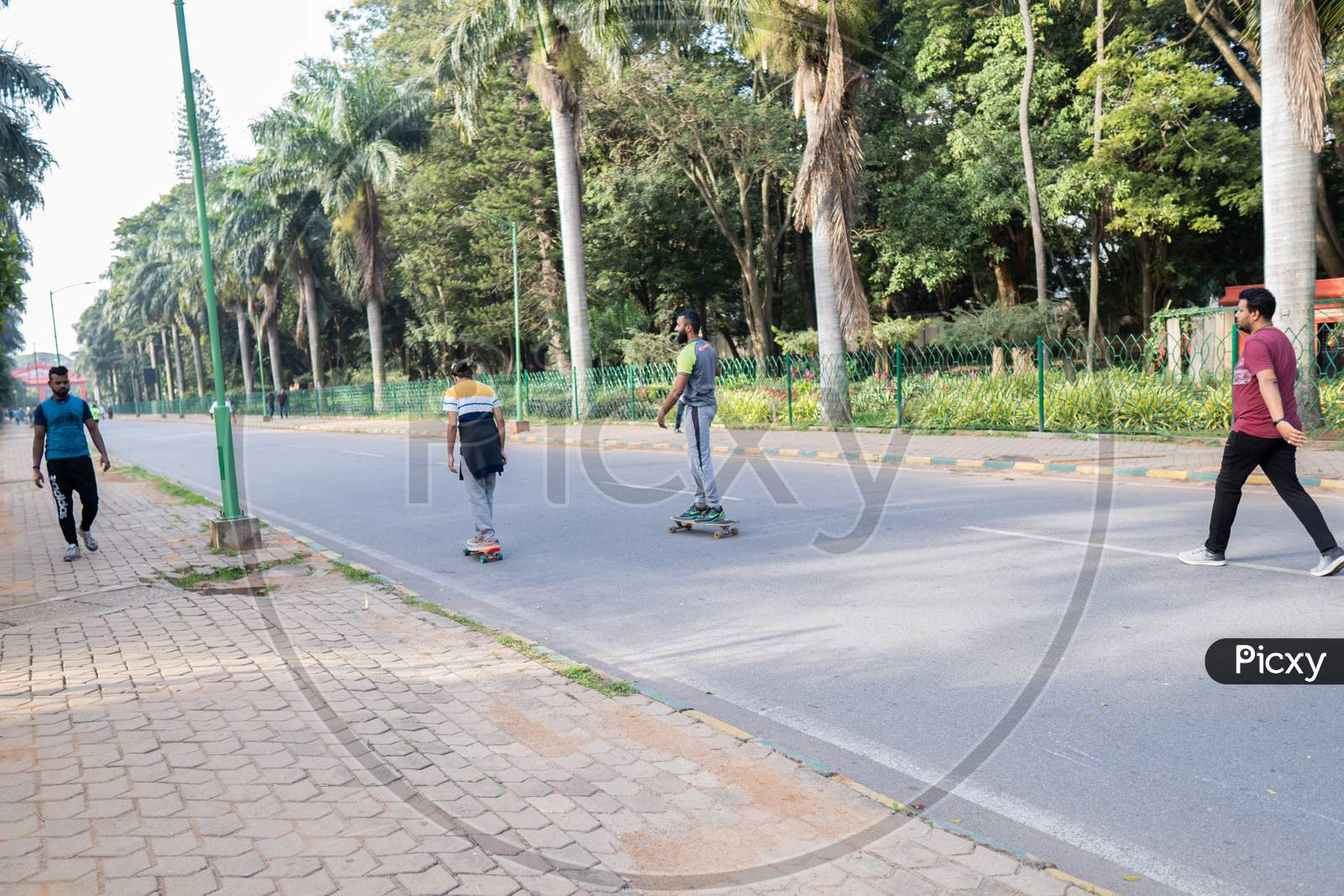 Cubbon Park,Bangalore,India-30Th November 2019 - Two Young Citizens Going On A Skate Board In Cubbon Park
