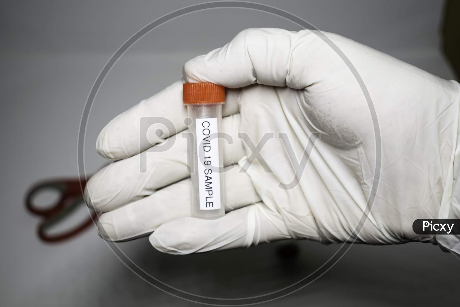 Microbiologist With A Tube Of Biological Sample Contaminated By Coronavirus With Label Covid-19 / Doctor In The Laboratory With A Biological Tube For Analysis And Sampling Of Covid-19 Infectious Diseas
