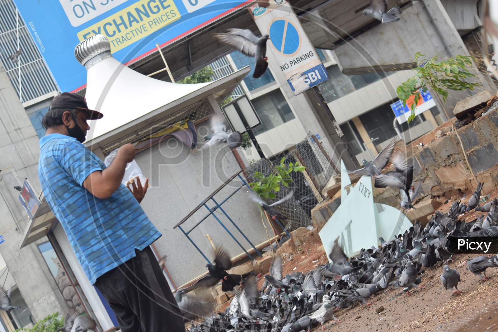 Hyderabad, Telangana, India. July-13-2020: A Man Is Feeding Pigeons All Around In Corona Virus Pandemic Time, Peoples Caring On Birds, Wearing Mask