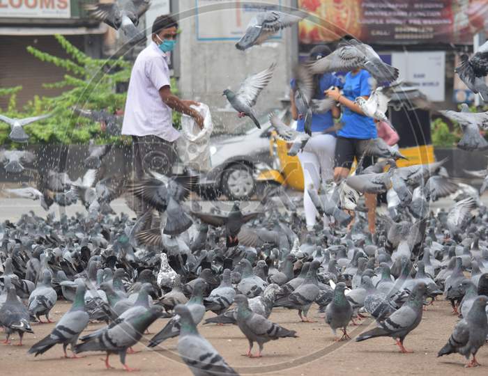 Hyderabad, Telangana, India. july-13-2020: the father and his daughters are feeding pigeons all around in corona virus pandemic time, peoples caring on birds, wearing mask