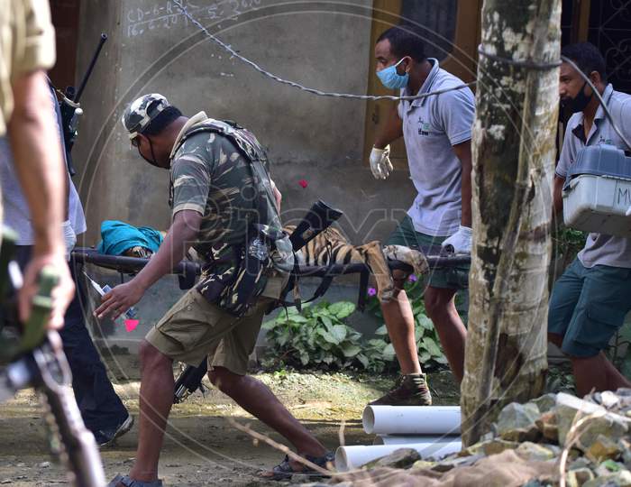 Forest officials carry a tranquilized tigress that strayed into a house in Bagori, Assam on July 15, 2020
