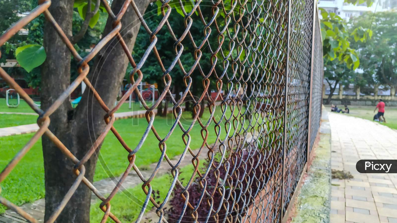 Iron Fencing in Park with Green Background.
