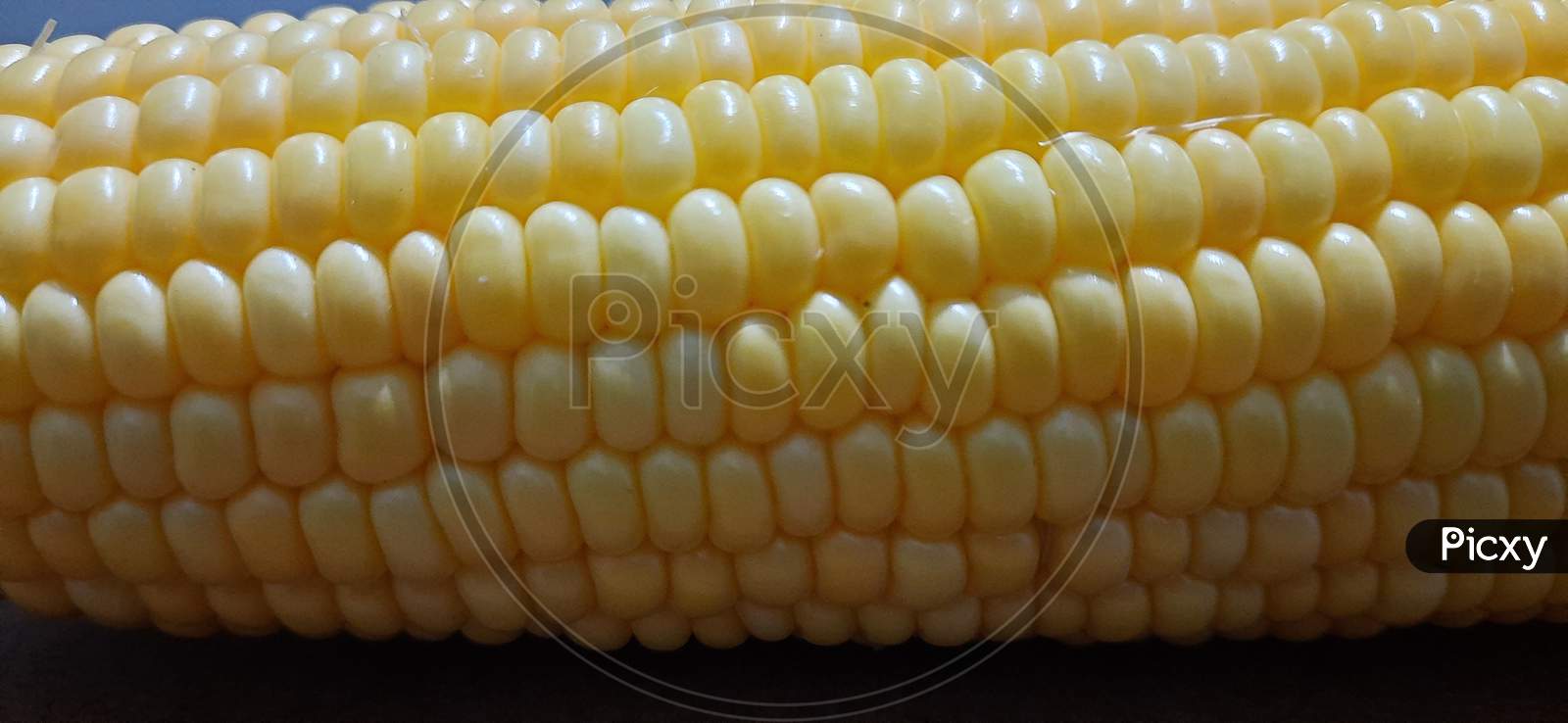 Organic sweet corn india