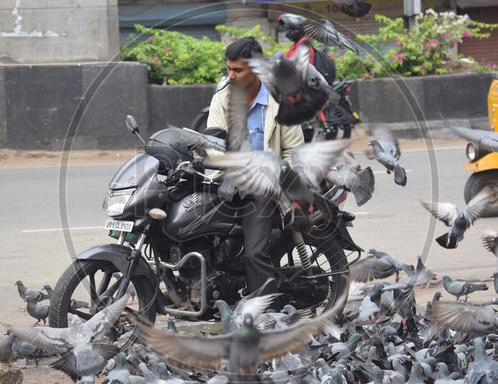 Hyderabad, Telangana, India. july-13-2020: A man is feeding pigeons all around at street road in corona virus pandemic time, peoples caring on birds, pigeons on road side