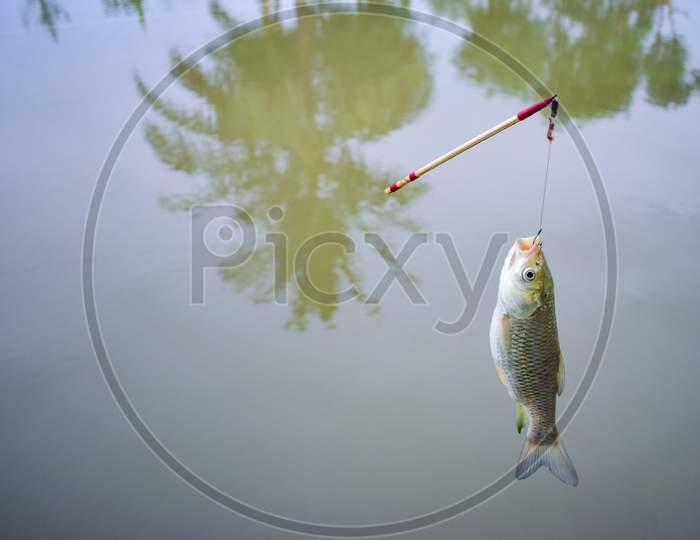 A Fish Hang-On Hook With Floater .Catching Fish With Fishing Rod And Fishhook .
