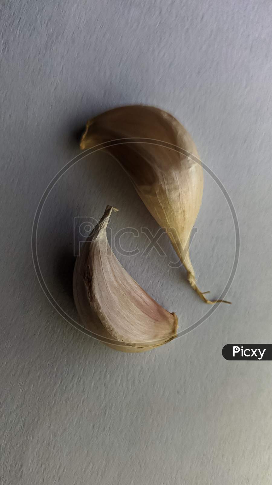 Garlic cloves in white background stock photo