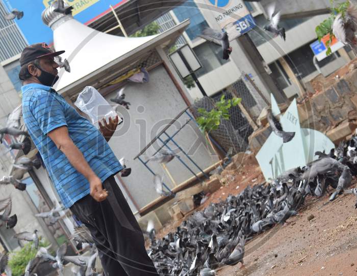 Hyderabad, Telangana, India. July-13-2020: A Man Is Feeding Pigeons All Around In Corona Virus Pandemic Time, Peoples Caring On Birds, Wearing Mask