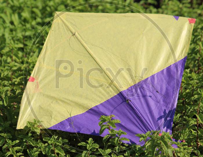 Colorful landed kite with partial view under bright daylight.