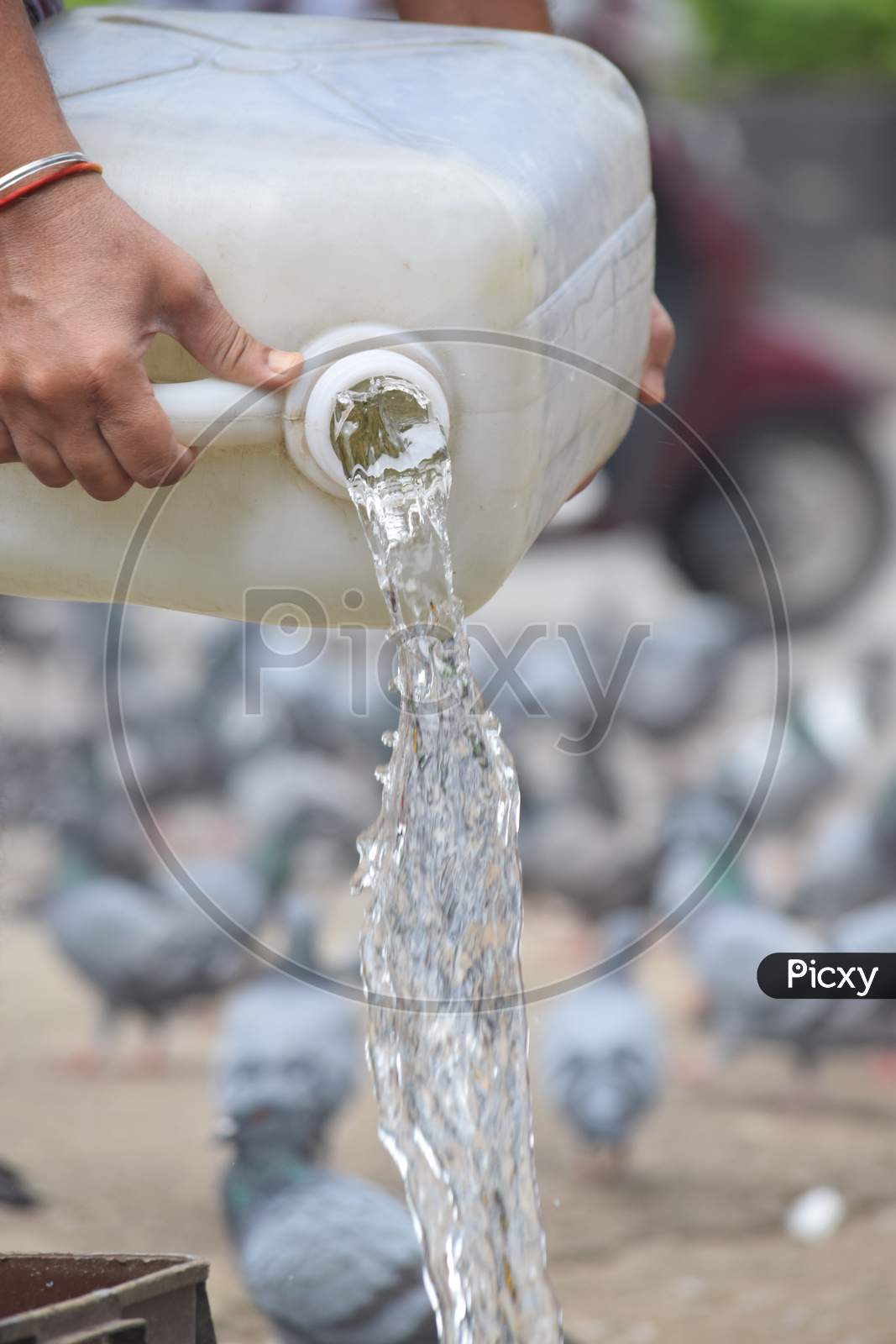 Hyderabad, Telangana, India. july-13-2020: A man is feeding pigeons all around in corona virus pandemic time, peoples caring on birds, wearing mask, drinking water for pigeons