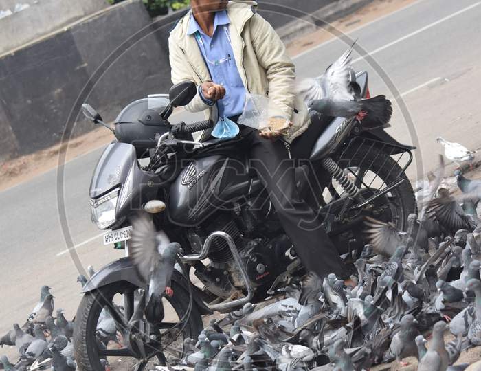 Hyderabad, Telangana, India. july-13-2020: A man is feeding pigeons all around at street road in corona virus pandemic time, peoples caring on birds, pigeons on road side