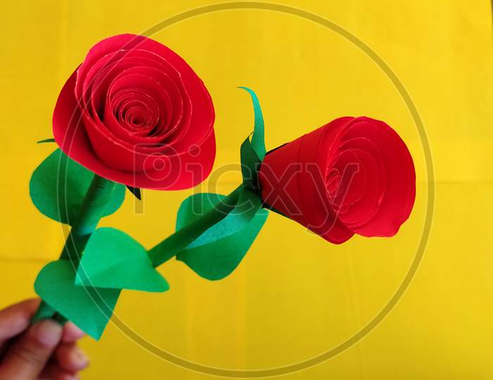 Beautiful Red roses with colour papers
