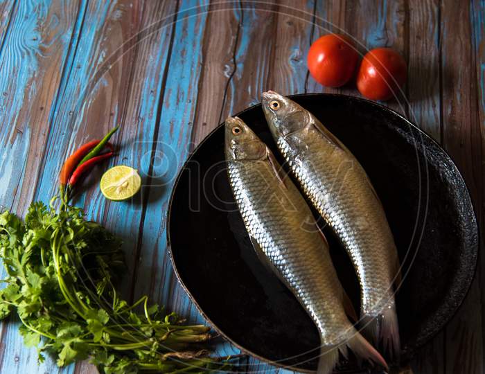 Fresh Fish On A Background.