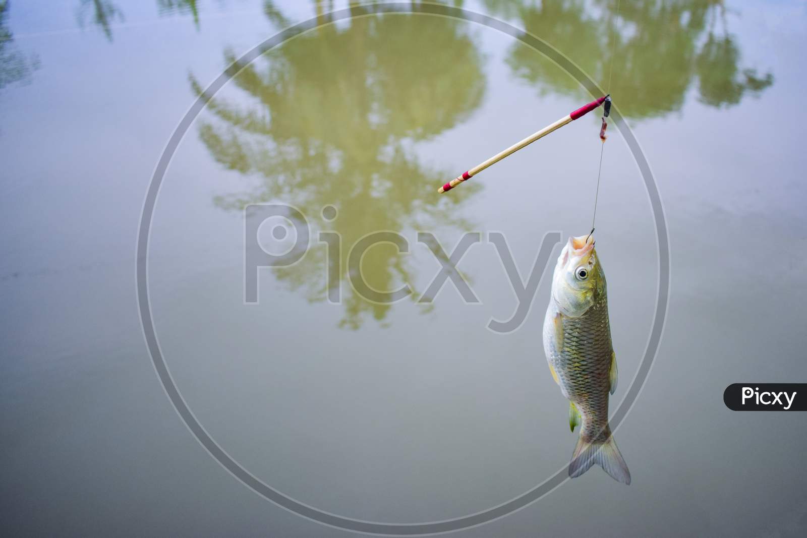 Image of A Fish Hang-On Hook With Floater .Catching Fish With Fishing Rod  And Fishhook .-WP912474-Picxy
