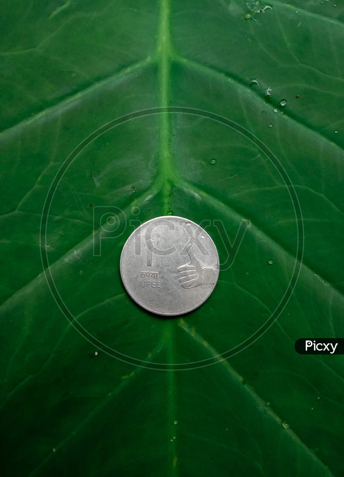 one rupee coin image in green background  with some selective focus