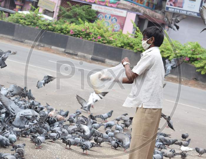 Hyderabad, Telangana, India. july-13-2020: A man is feeding pigeons all around at street road in corona virus pandemic time, peoples caring on birds, wearing mask,  pigeons on road side