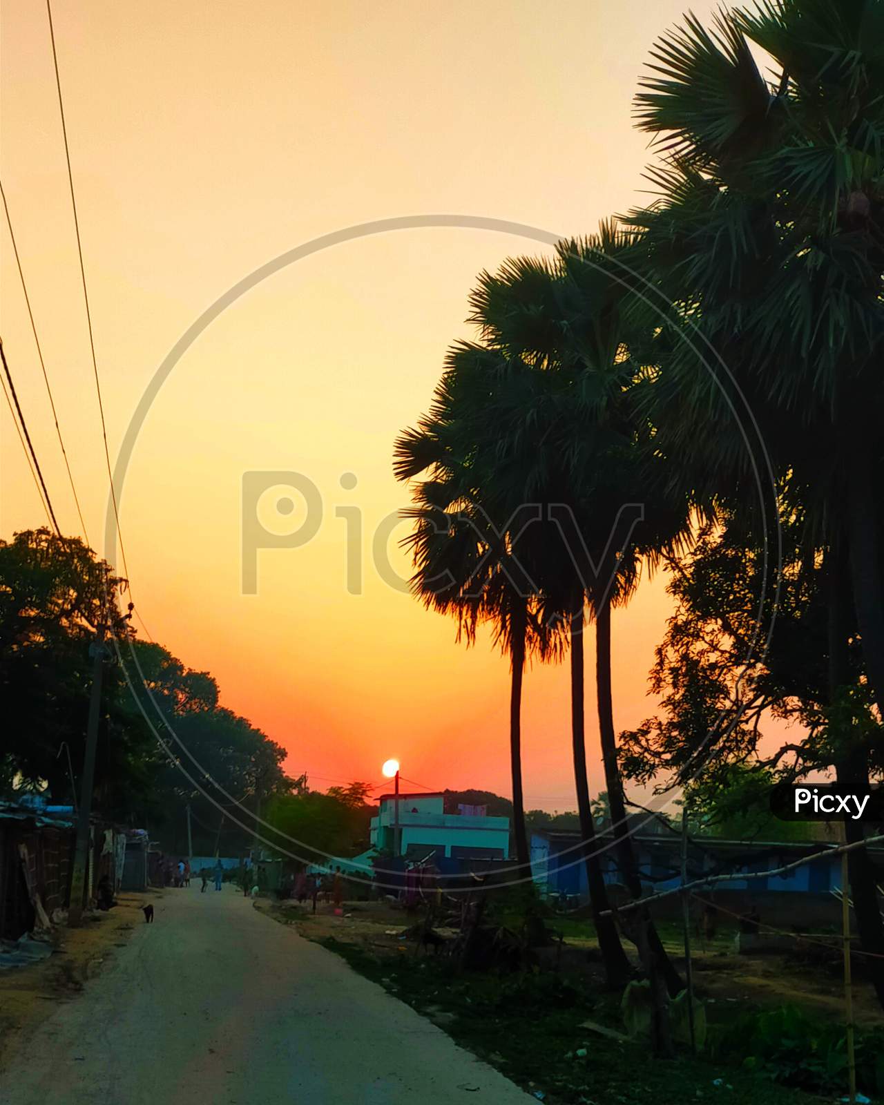 A nice sunset with palm trees in an Indian slum
