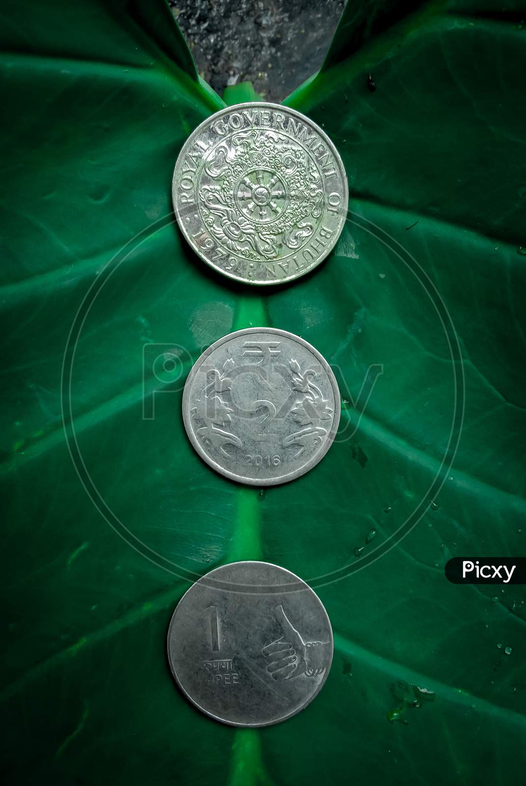 three silver coin in green background with selective focus