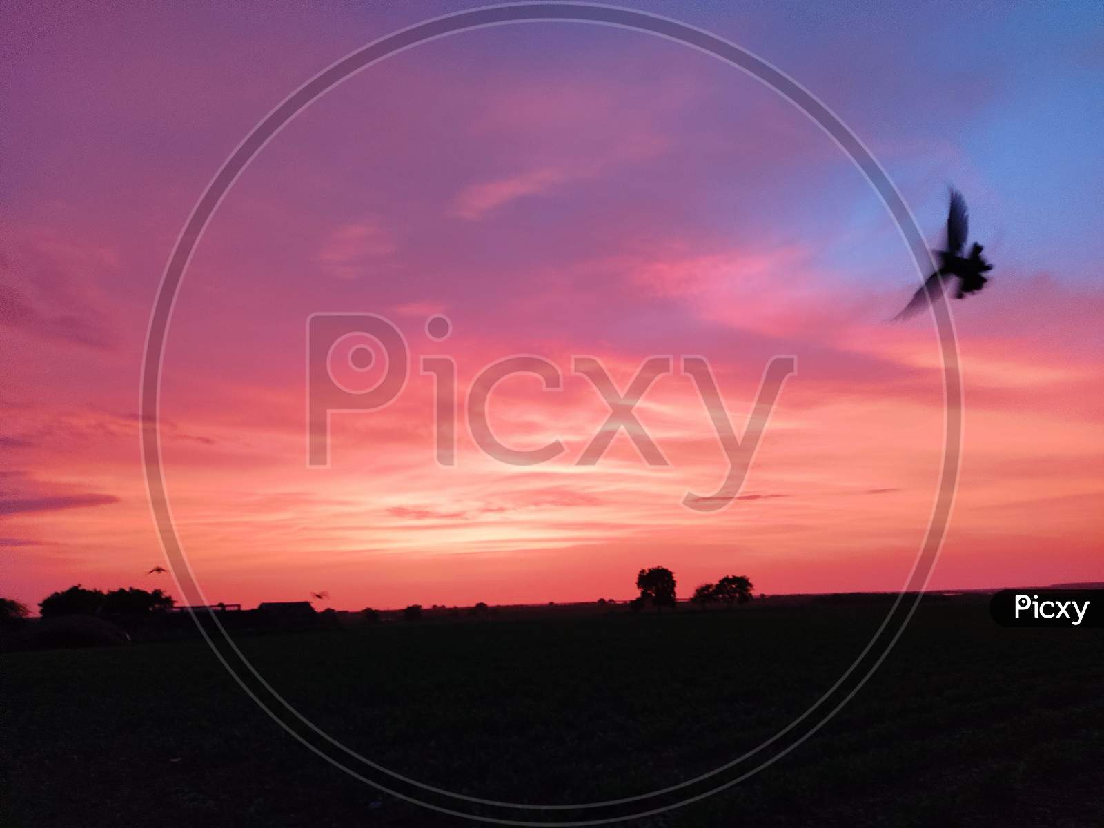 Beautiful sunset in my farm