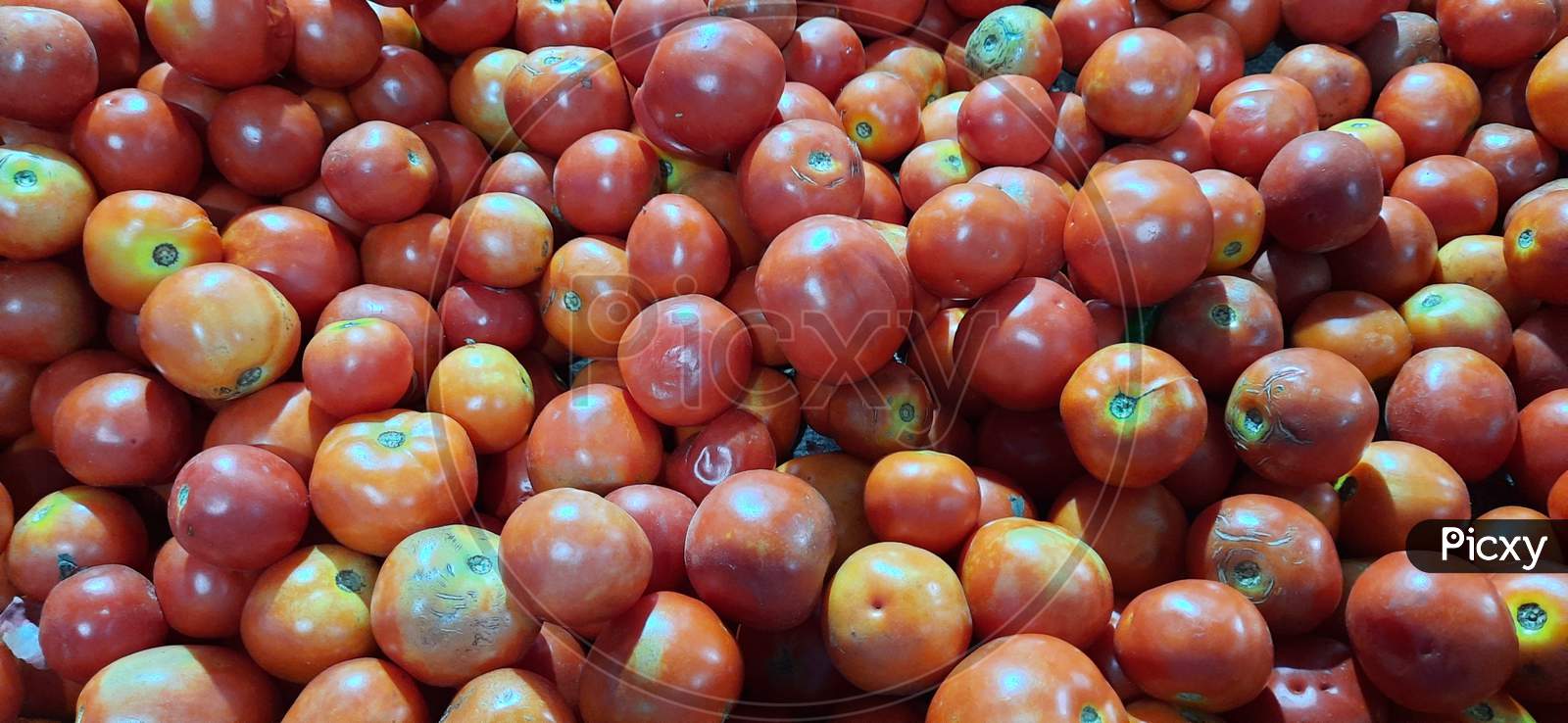 Fresh organic tomato on market