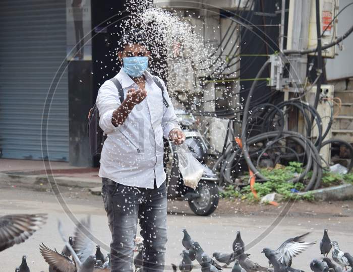 Hyderabad, Telangana, India. july-13-2020: A man is feeding pigeons all around in corona virus pandemic time, peoples caring on birds, wearing mask