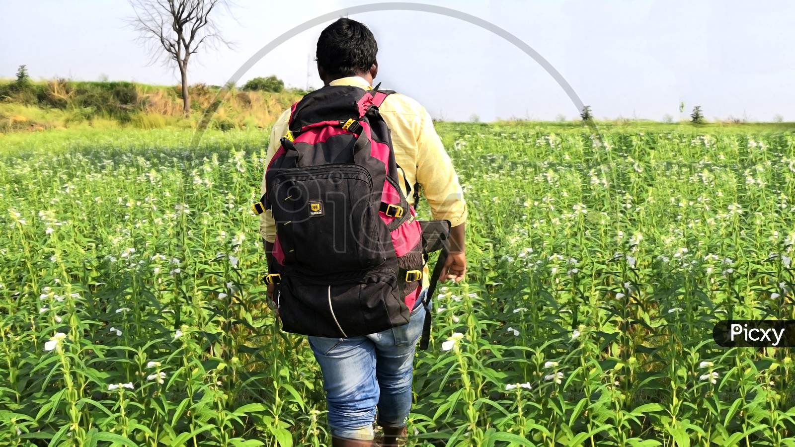 Young Man Traveling Into The Flower Garden With Backpack