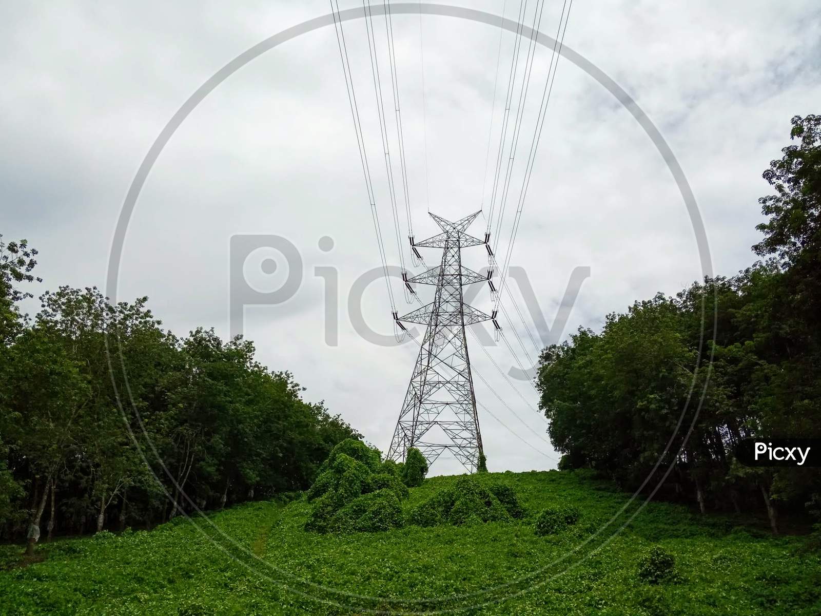 Electric power lines