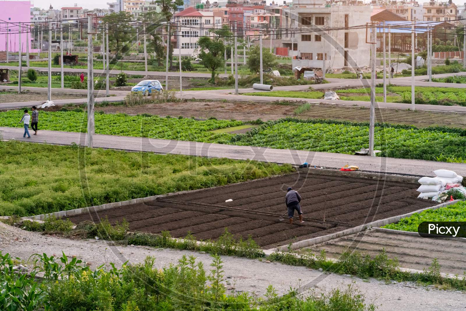 Kathmandu, Nepal - June 2020: A farmer working on a small piece of land plotted for housing to grow vegetables for home and selling in the market.