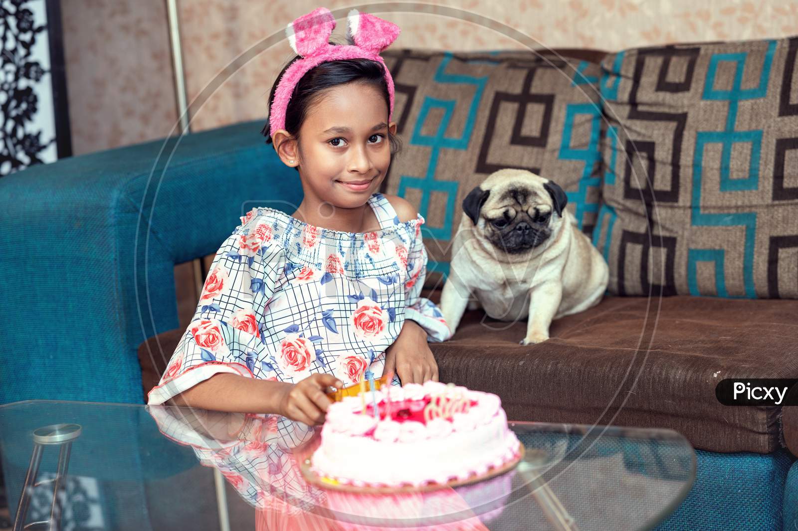 A happy beautiful girl taking photos of her birthday cake with her pet dog. Party, cake, friendship with pet animal concept.