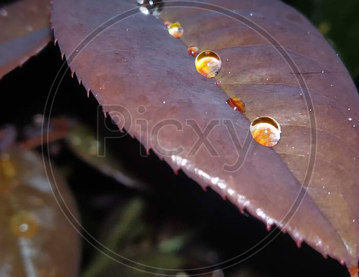 Group of drops in a line