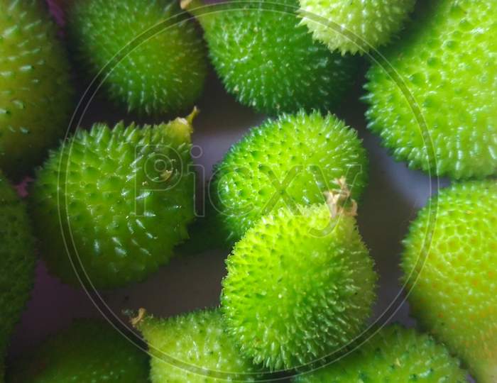 Kiwi fruit on a  my farm