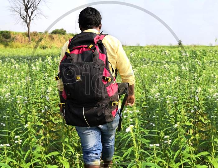 Young Man Traveling Into The Flower Garden With Backpack