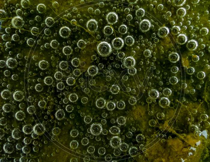 Air bubbles in water. Macro image of air bubbles in pond. Macro photo of air bubbles in lake water.