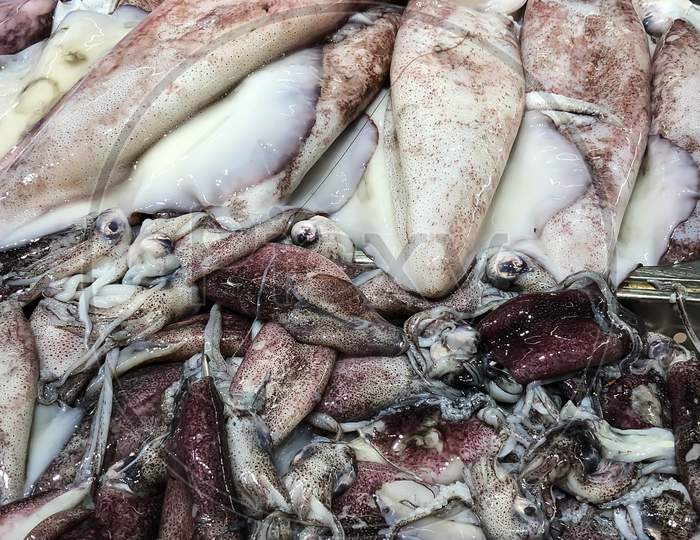 Big Size Fresh Fish Captured From The Fish Market Abudhabi On 031019