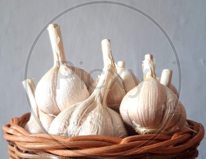 side angle view of many garlic bulb