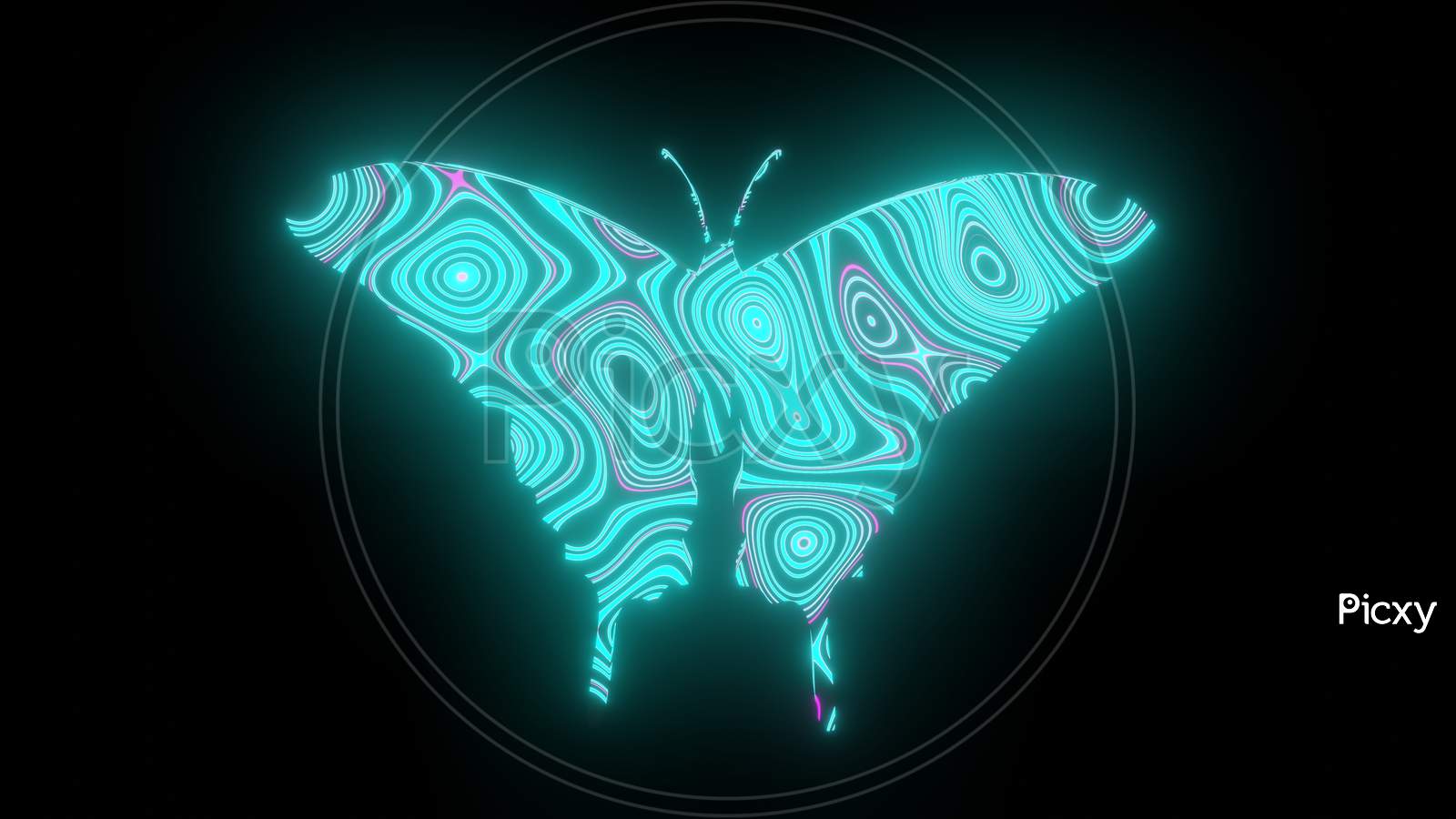 Illustration Graphic Of Beautiful Texture Or Pattern Formation On The Butterfly Body Shape, Isolated On Black Background. 3D Rendering Abstract Loop Neon Lighting Effect On Butterfly.