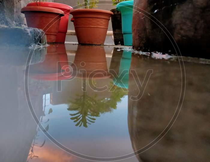 Reflection of various potted plants