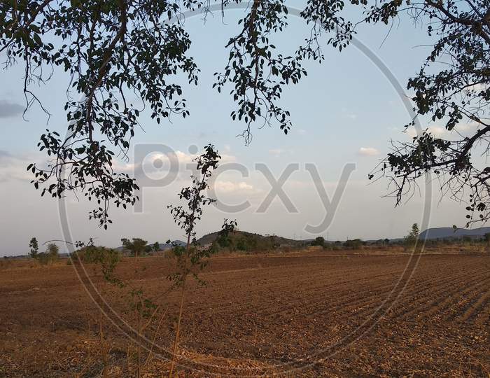 panorama of rural indian dry grassy farm land stretching out under a cloud filled sky with native trees, good for native habitat, dotted along the horizon, gujrat, india