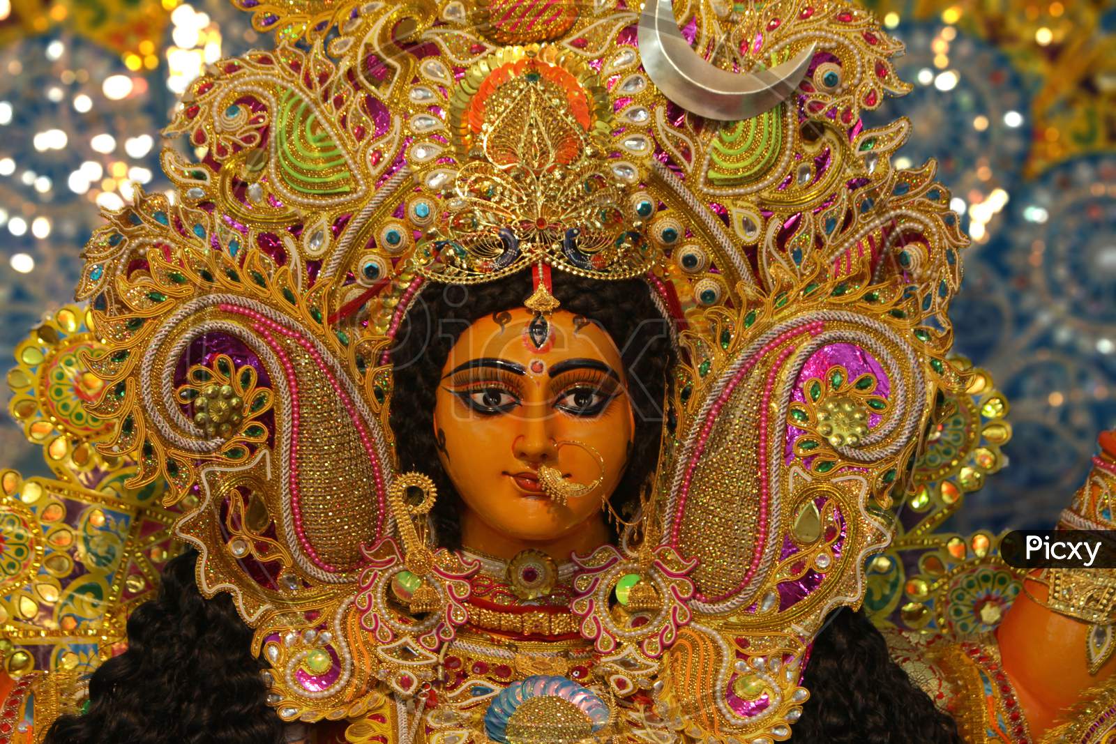 Maa Durga,Maa Jagatdhatri,