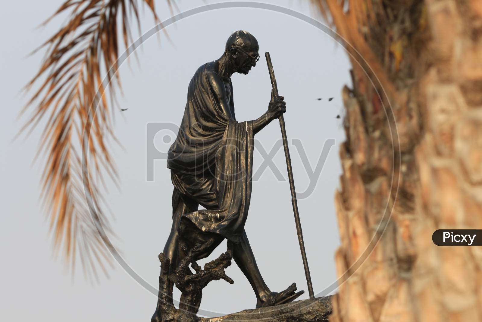 gandhi statue