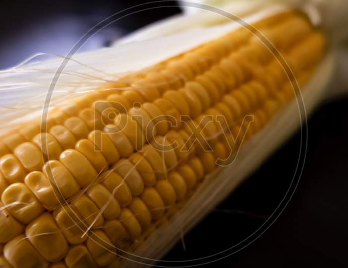 Closeup View Of Fresh Raw Maize Corn & Leaves